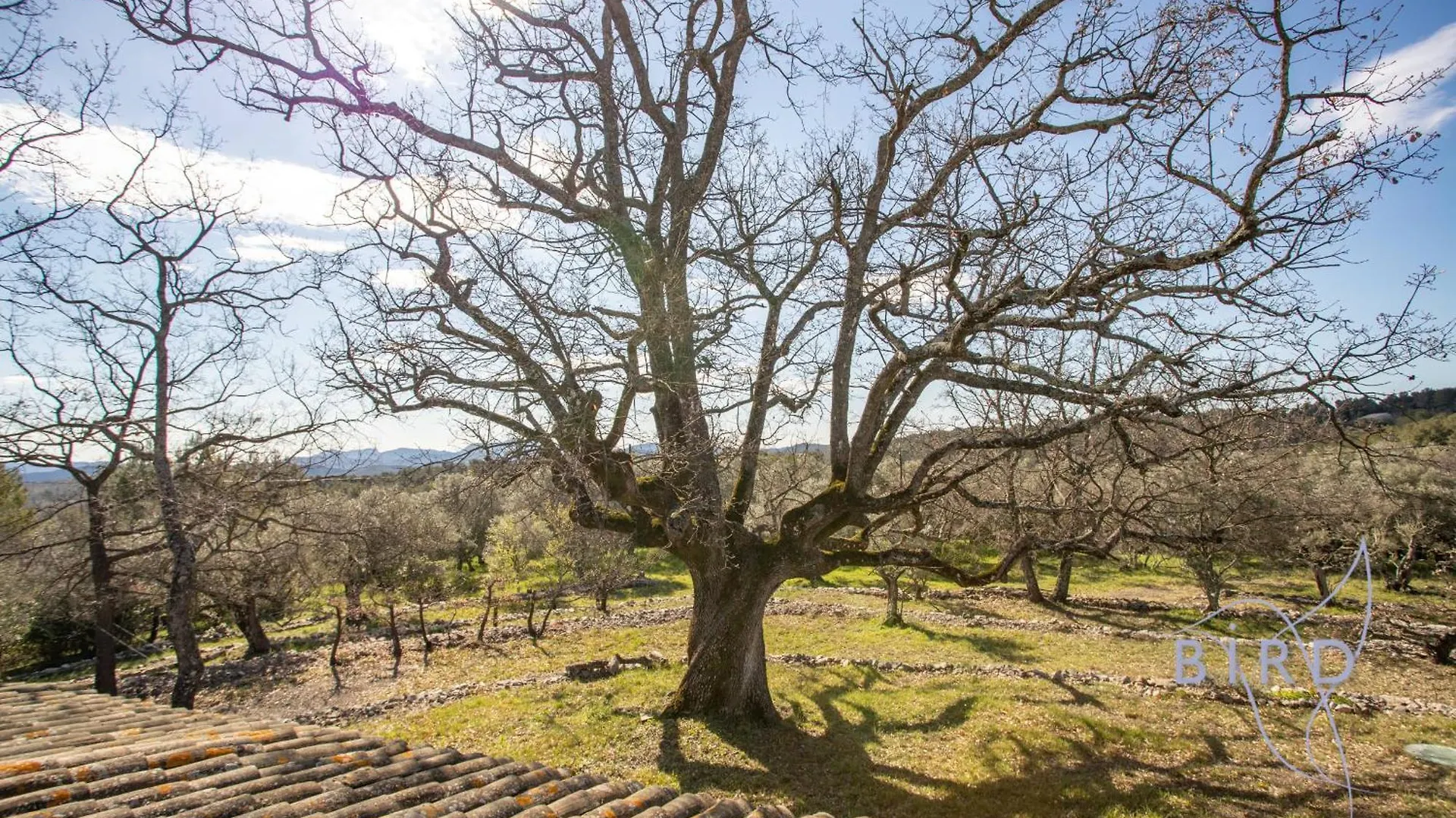 Magnificent Stone House In The Heart Of The Fayence Region Villa Tourrettes